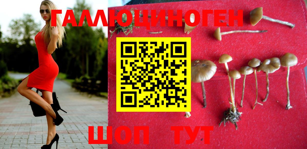 Галлюциногенные грибы Psilocybine cubensis Пушкино
